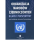 ORGANIZACJA NARODÓW ZJEDNOCZONYCH: <br>bilans i perspektywy