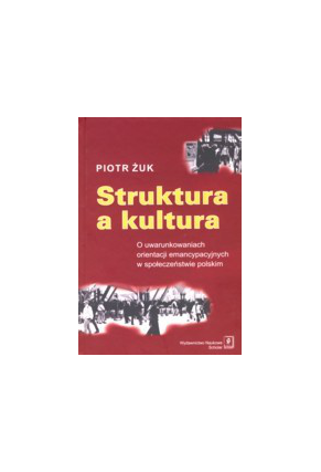 Struktura a kultura